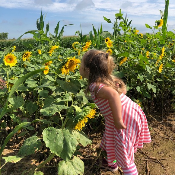 Like Follow Share <3 - Picture 5 of 5